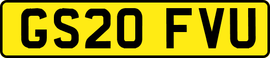 GS20FVU