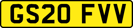 GS20FVV