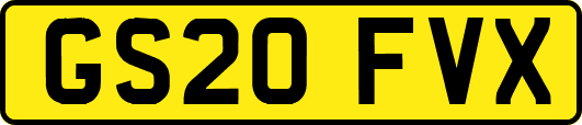 GS20FVX