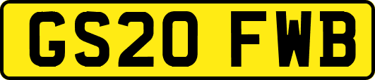 GS20FWB