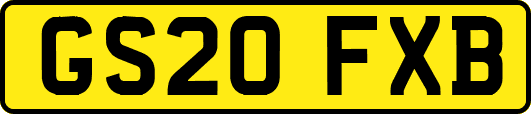 GS20FXB