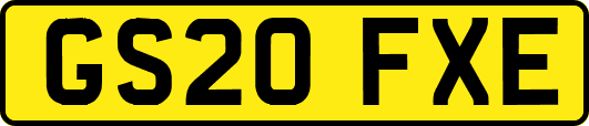 GS20FXE