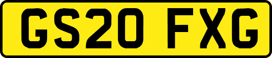 GS20FXG