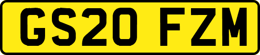 GS20FZM