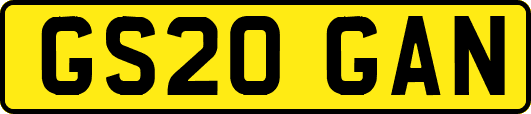GS20GAN
