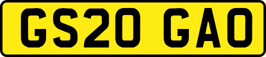 GS20GAO