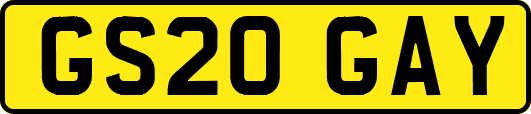 GS20GAY