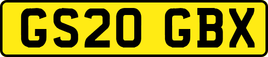 GS20GBX