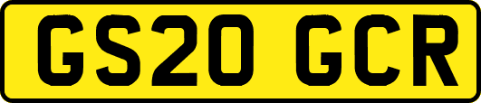 GS20GCR