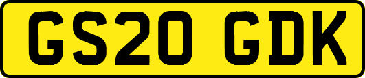 GS20GDK