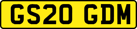 GS20GDM