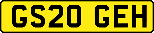 GS20GEH