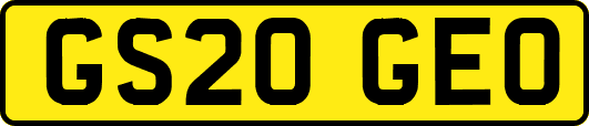 GS20GEO