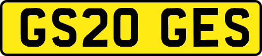 GS20GES