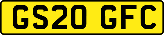GS20GFC