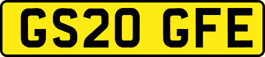 GS20GFE