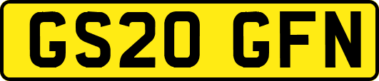 GS20GFN