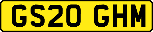 GS20GHM
