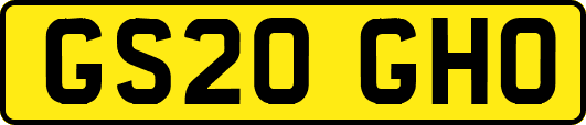 GS20GHO
