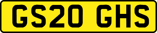 GS20GHS