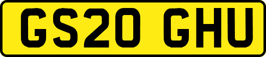 GS20GHU