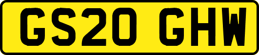 GS20GHW