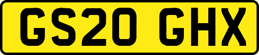 GS20GHX