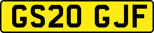 GS20GJF