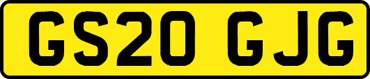 GS20GJG