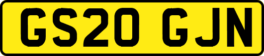 GS20GJN