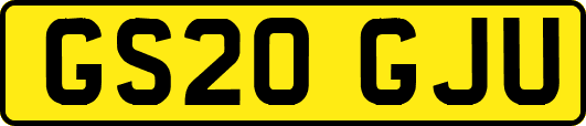 GS20GJU