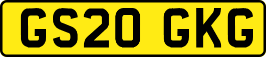 GS20GKG