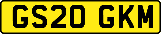GS20GKM