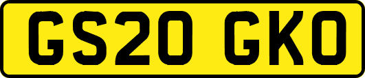GS20GKO