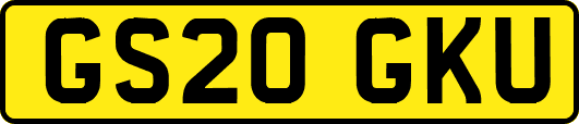 GS20GKU