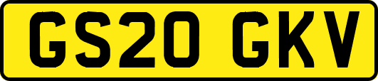 GS20GKV