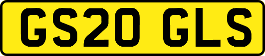 GS20GLS