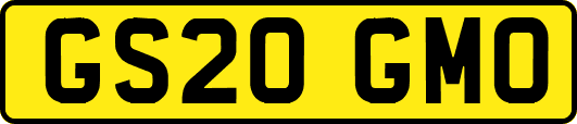 GS20GMO