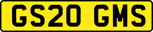 GS20GMS
