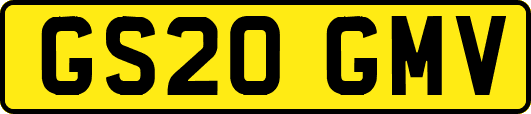 GS20GMV