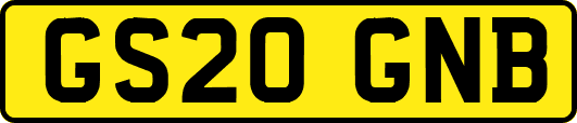 GS20GNB