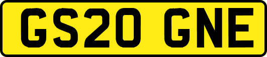 GS20GNE