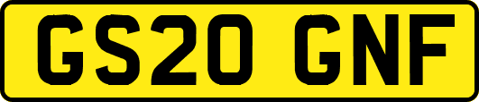 GS20GNF