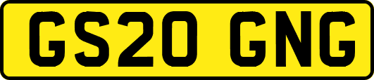 GS20GNG