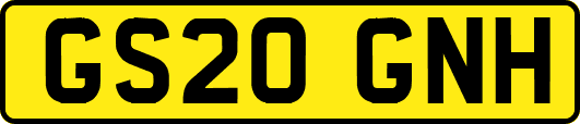 GS20GNH