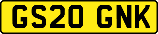 GS20GNK