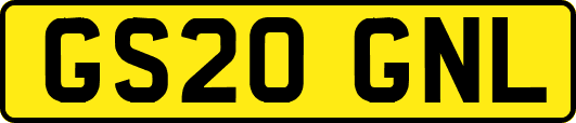 GS20GNL