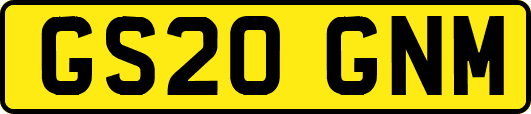 GS20GNM