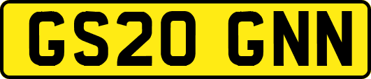 GS20GNN