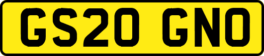 GS20GNO